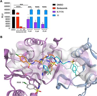 Ligand-based discovery of a novel GATA2 inhibitor targeting acute myeloid leukemia cells